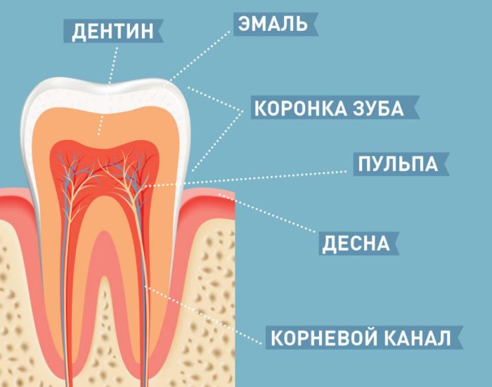 Профессиональное эндодонтическое лечение корневых каналов зуба в Москве